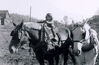 Filename=19579999_001.jpg
Filesize=118KiB
Dimensions=1024x670
Date added=Sep 23, 2008 19579999_001.jpg