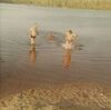 Filename=19700899_008.jpg
Filesize=285KiB
Dimensions=2048x2034
Date added=Sep 26, 2024 19700899_008.jpg