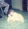 Filename=19760799_001.jpg
Filesize=110KiB
Dimensions=986x1024
Date added=Sep 24, 2008 19760799_001.jpg