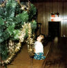 Filename=19761200_002.jpg
Filesize=193KiB
Dimensions=1010x1024
Date added=Sep 24, 2008 19761200_002.jpg
