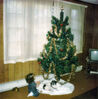 Filename=19761200_003.jpg
Filesize=146KiB
Dimensions=1010x1024
Date added=Sep 24, 2008 19761200_003.jpg