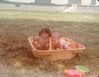 Filename=19770599_003.jpg
Filesize=148KiB
Dimensions=1024x798
Date added=Sep 29, 2008 19770599_003.jpg