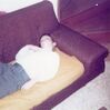 Filename=19771224_006.jpg
Filesize=439KiB
Dimensions=2048x2043
Date added=Oct 05, 2024 19771224_006.jpg