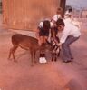 Filename=19810899_012.jpg
Filesize=348KiB
Dimensions=1982x2048
Date added=Oct 09, 2024 19810899_012.jpg