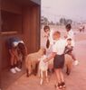 Filename=19810899_013.jpg
Filesize=330KiB
Dimensions=1951x2047
Date added=Oct 09, 2024 19810899_013.jpg