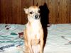 Filename=19849999_001.jpg
Filesize=112KiB
Dimensions=1024x768
Date added=Oct 02, 2008 19849999_001.jpg