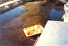 Filename=19870699_018.jpg
Filesize=98KiB
Dimensions=1024x690
Date added=Oct 03, 2008 19870699_018.jpg