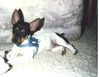 Filename=19900899_001.jpg
Filesize=527KiB
Dimensions=1023x794
Date added=Oct 06, 2008 19900899_001.jpg