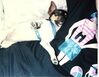 Filename=19900899_003.jpg
Filesize=484KiB
Dimensions=1023x794
Date added=Oct 06, 2008 19900899_003.jpg