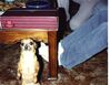 Filename=19909999_004.jpg
Filesize=618KiB
Dimensions=1023x794
Date added=Oct 06, 2008 19909999_004.jpg
