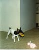 Filename=19910899_012.jpg
Filesize=628KiB
Dimensions=794x1023
Date added=Oct 06, 2008 19910899_012.jpg