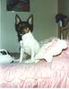 Filename=19910899_013.jpg
Filesize=580KiB
Dimensions=794x1023
Date added=Oct 06, 2008 19910899_013.jpg