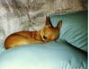 Filename=19910899_014.jpg
Filesize=582KiB
Dimensions=1023x794
Date added=Oct 06, 2008 19910899_014.jpg