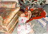 Filename=19911225_004.jpg
Filesize=356KiB
Dimensions=1024x725
Date added=Oct 06, 2008 19911225_004.jpg