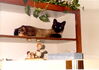 Filename=19911225_034.jpg
Filesize=187KiB
Dimensions=1024x725
Date added=Oct 06, 2008 19911225_034.jpg