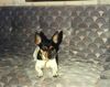 Filename=19920899_001.jpg
Filesize=693KiB
Dimensions=1022x811
Date added=Oct 06, 2008 19920899_001.jpg
