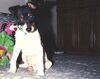 Filename=19921299_002.jpg
Filesize=506KiB
Dimensions=1022x811
Date added=Oct 06, 2008 19921299_002.jpg