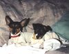 Filename=19921299_004.jpg
Filesize=605KiB
Dimensions=1022x811
Date added=Oct 06, 2008 19921299_004.jpg