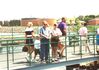 Filename=19930799_007.jpg
Filesize=152KiB
Dimensions=1024x723
Date added=Oct 06, 2008 19930799_007.jpg