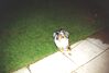 Filename=19940511_001.jpg
Filesize=467KiB
Dimensions=1023x691
Date added=Oct 06, 2008 19940511_001.jpg