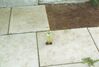 Filename=19940522_003.jpg
Filesize=526KiB
Dimensions=1023x691
Date added=Oct 06, 2008 19940522_003.jpg