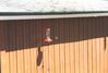 Filename=19940603_002.jpg
Filesize=486KiB
Dimensions=1023x691
Date added=Oct 06, 2008 19940603_002.jpg