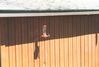 Filename=19940603_003.jpg
Filesize=493KiB
Dimensions=1023x691
Date added=Oct 06, 2008 19940603_003.jpg