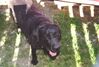 Filename=19940604_006.jpg
Filesize=519KiB
Dimensions=1023x691
Date added=Oct 06, 2008 19940604_006.jpg