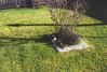 Filename=19940604_010.jpg
Filesize=758KiB
Dimensions=1023x691
Date added=Oct 06, 2008 19940604_010.jpg