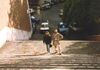 Filename=19941109_049.jpg
Filesize=489KiB
Dimensions=1020x717
Date added=Oct 06, 2008 19941109_049.jpg