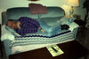 Filename=19949999_016.jpg
Filesize=394KiB
Dimensions=2047x1375
Date added=Dec 30, 2013 19949999_016.jpg