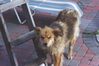 Filename=19950701_002.jpg
Filesize=437KiB
Dimensions=1024x680
Date added=Oct 10, 2008 19950701_002.jpg