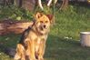 Filename=19950706_001.jpg
Filesize=493KiB
Dimensions=1024x680
Date added=Oct 10, 2008 19950706_001.jpg