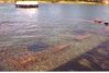 Filename=19960419_008.jpg
Filesize=588KiB
Dimensions=1024x696
Date added=Oct 10, 2008 19960419_008.jpg