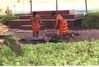 Filename=19960419_029.jpg
Filesize=486KiB
Dimensions=1024x696
Date added=Oct 10, 2008 19960419_029.jpg