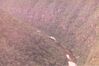 Filename=19960424_002.jpg
Filesize=519KiB
Dimensions=1024x684
Date added=Oct 10, 2008 19960424_002.jpg