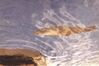 Filename=19960428_012.jpg
Filesize=463KiB
Dimensions=1024x684
Date added=Oct 10, 2008 19960428_012.jpg