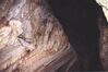 Filename=19960430_008.jpg
Filesize=488KiB
Dimensions=1024x684
Date added=Oct 10, 2008 19960430_008.jpg