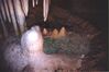 Filename=19960430_018.jpg
Filesize=453KiB
Dimensions=1024x684
Date added=Oct 10, 2008 19960430_018.jpg