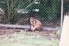 Filename=19960504_005.jpg
Filesize=527KiB
Dimensions=2048x1373
Date added=Oct 10, 2008 19960504_005.jpg