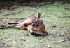 Filename=19960504_016.jpg
Filesize=556KiB
Dimensions=2047x1398
Date added=Oct 10, 2008 19960504_016.jpg