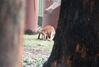 Filename=19960504_017.jpg
Filesize=393KiB
Dimensions=2047x1379
Date added=Oct 10, 2008 19960504_017.jpg