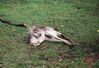 Filename=19960504_018.jpg
Filesize=560KiB
Dimensions=2047x1406
Date added=Oct 10, 2008 19960504_018.jpg