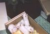 Filename=19970411_004.jpg
Filesize=63KiB
Dimensions=1023x695
Date added=Oct 10, 2008 19970411_004.jpg