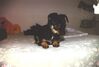 Filename=19970423_001.jpg
Filesize=53KiB
Dimensions=1023x695
Date added=Oct 10, 2008 19970423_001.jpg