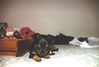 Filename=19970423_002.jpg
Filesize=57KiB
Dimensions=1023x695
Date added=Oct 10, 2008 19970423_002.jpg
