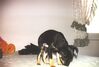 Filename=19970423_003.jpg
Filesize=64KiB
Dimensions=1023x695
Date added=Oct 10, 2008 19970423_003.jpg