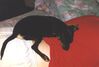 Filename=19970607_002.jpg
Filesize=47KiB
Dimensions=1023x695
Date added=Oct 10, 2008 19970607_002.jpg