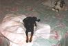 Filename=19970716_001.jpg
Filesize=77KiB
Dimensions=1023x695
Date added=Oct 10, 2008 19970716_001.jpg