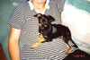 Filename=19970722_001.jpg
Filesize=172KiB
Dimensions=1024x687
Date added=Oct 10, 2008 19970722_001.jpg